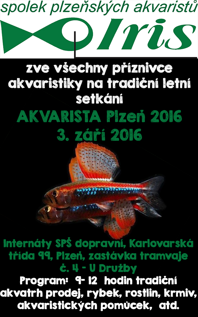 Akvarista_plzen_2016