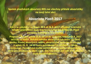 Akvarista Plzeň 2017 pozvánka Final