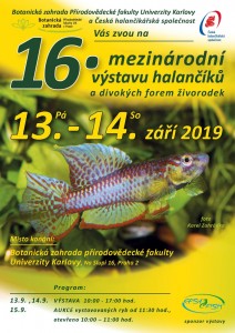 PLAKAT_VYSTAVA_2019_CZ (1)