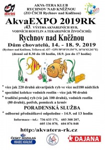 Rychnov 2019